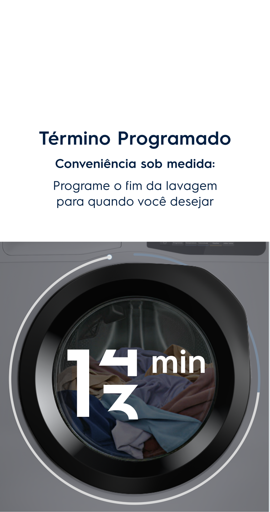 Término Programado