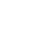 icon1