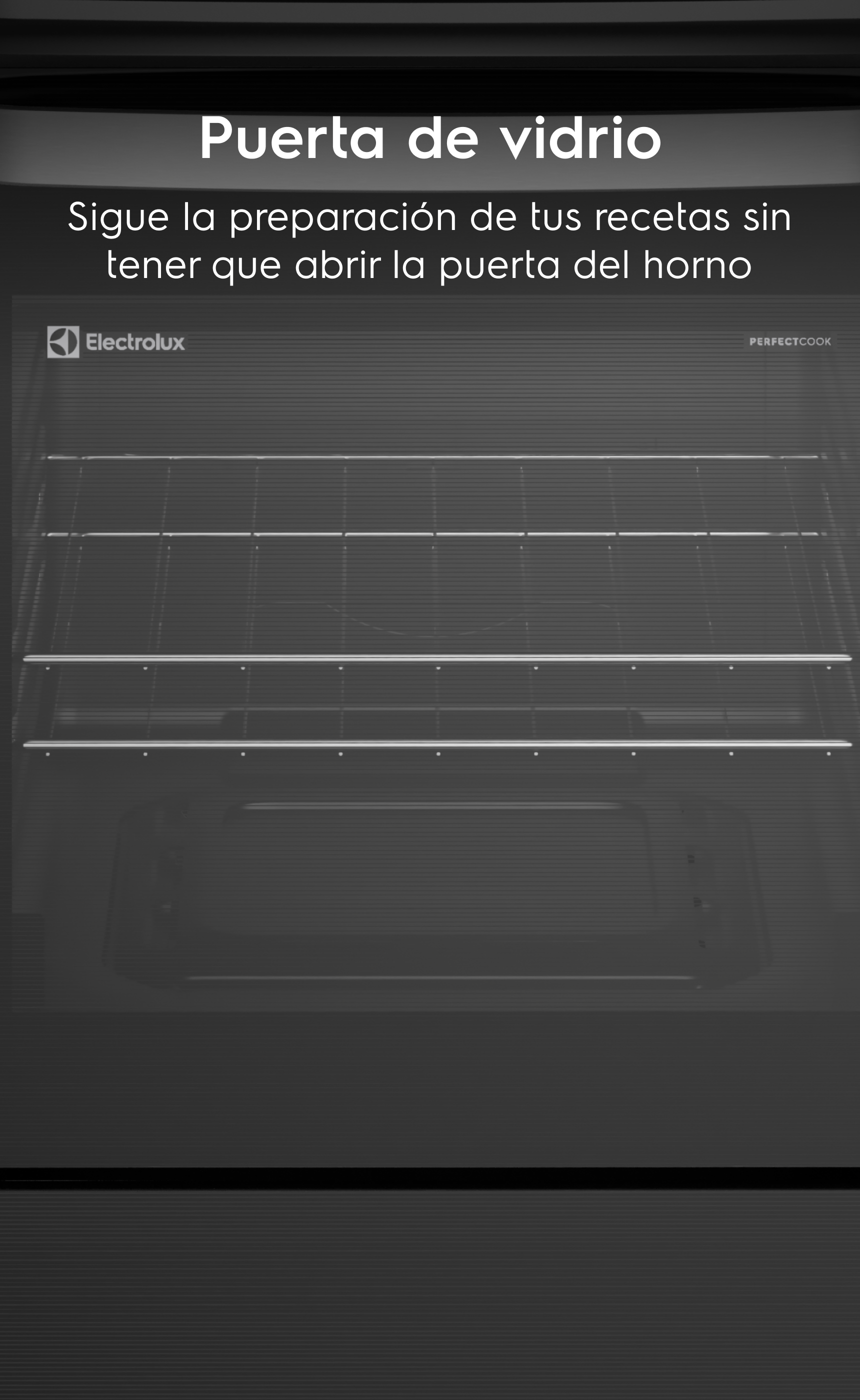 Lorem ipsum - Sigue la preparación de tus recetas sin tener que abrir la puerta del horno