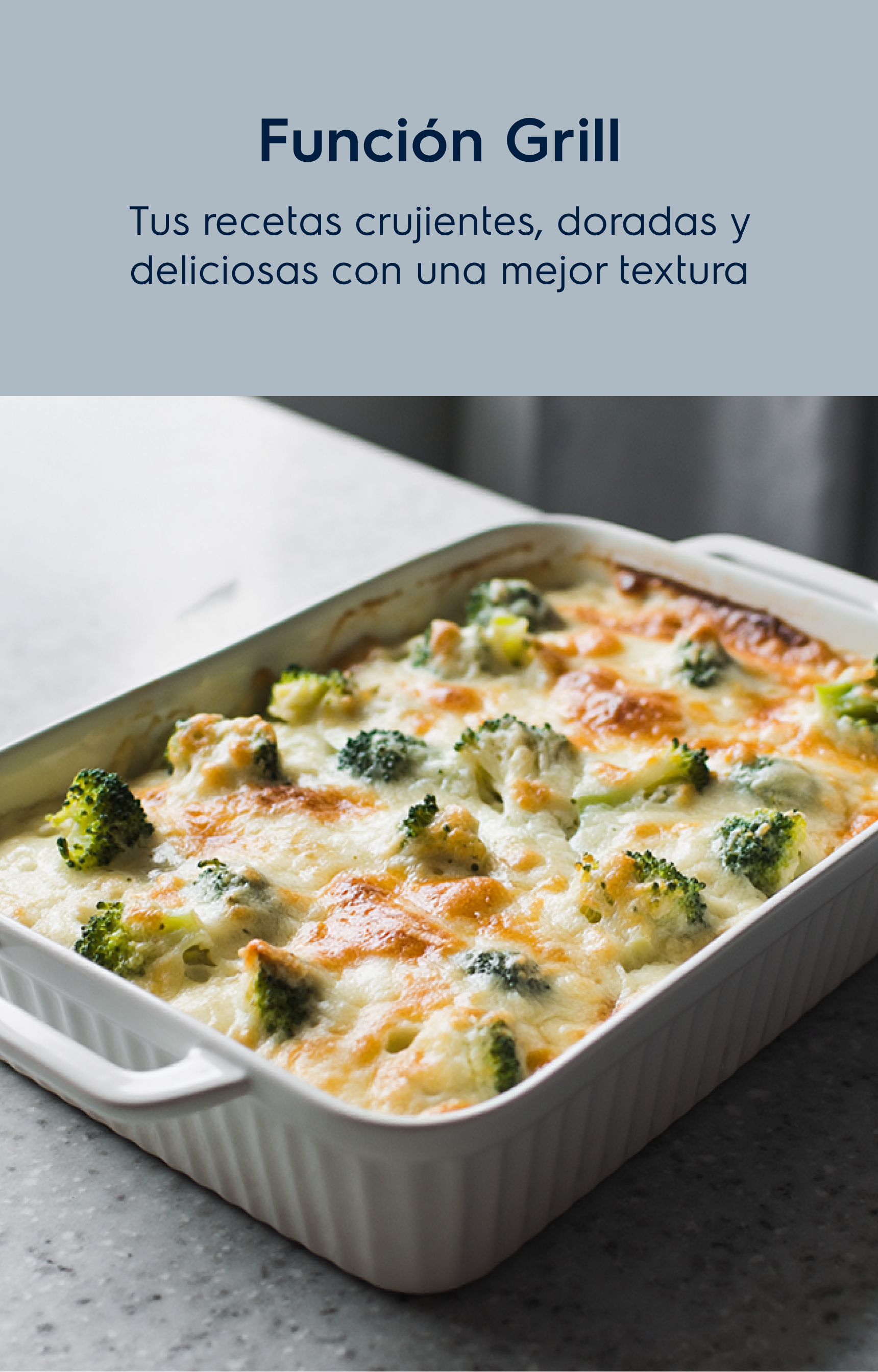 Función Grill Tus recetas crujientes, doradas y deliciosas con una mejor textura.