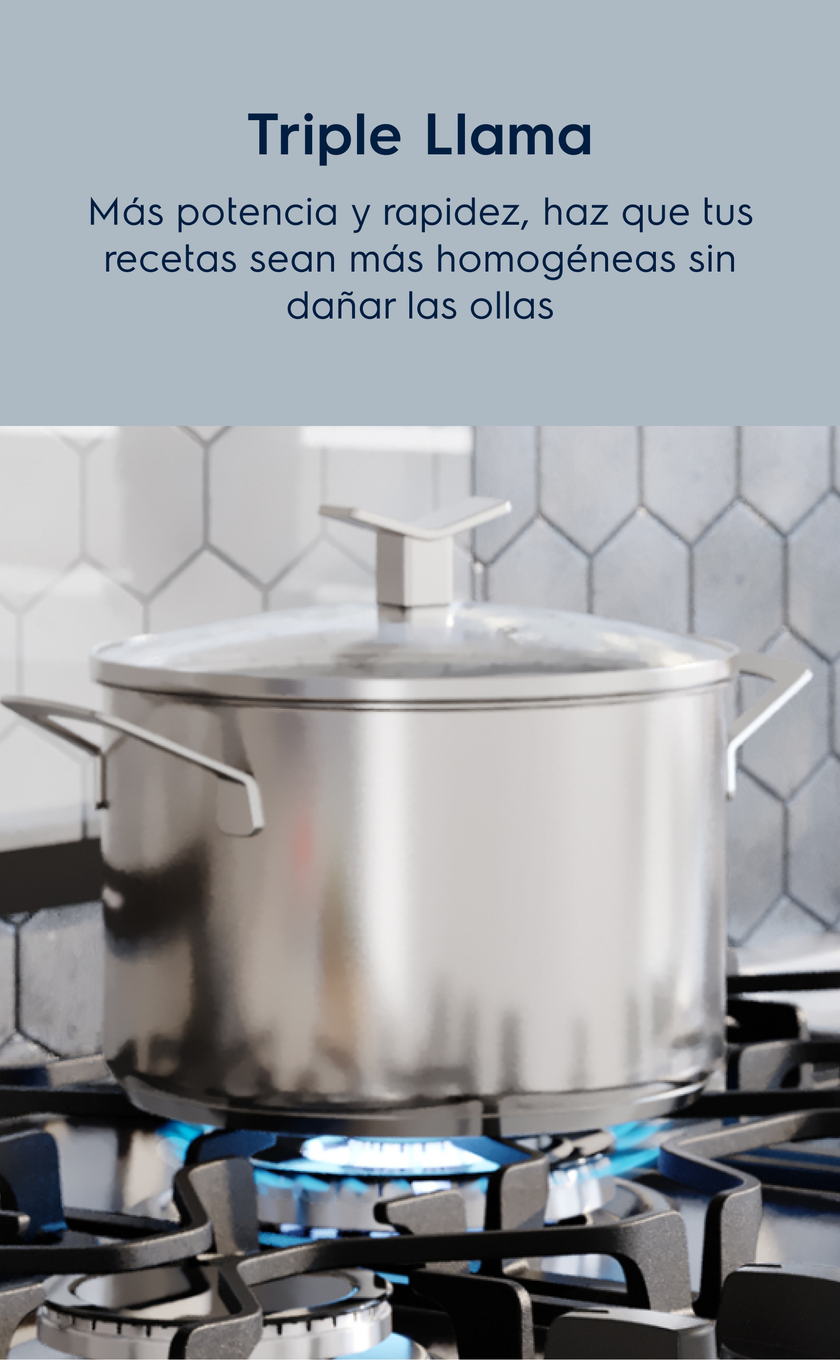 Triple Llama Más potencia y rapidez, haz que tus recetas sean más homogéneas sin dañar las ollas.