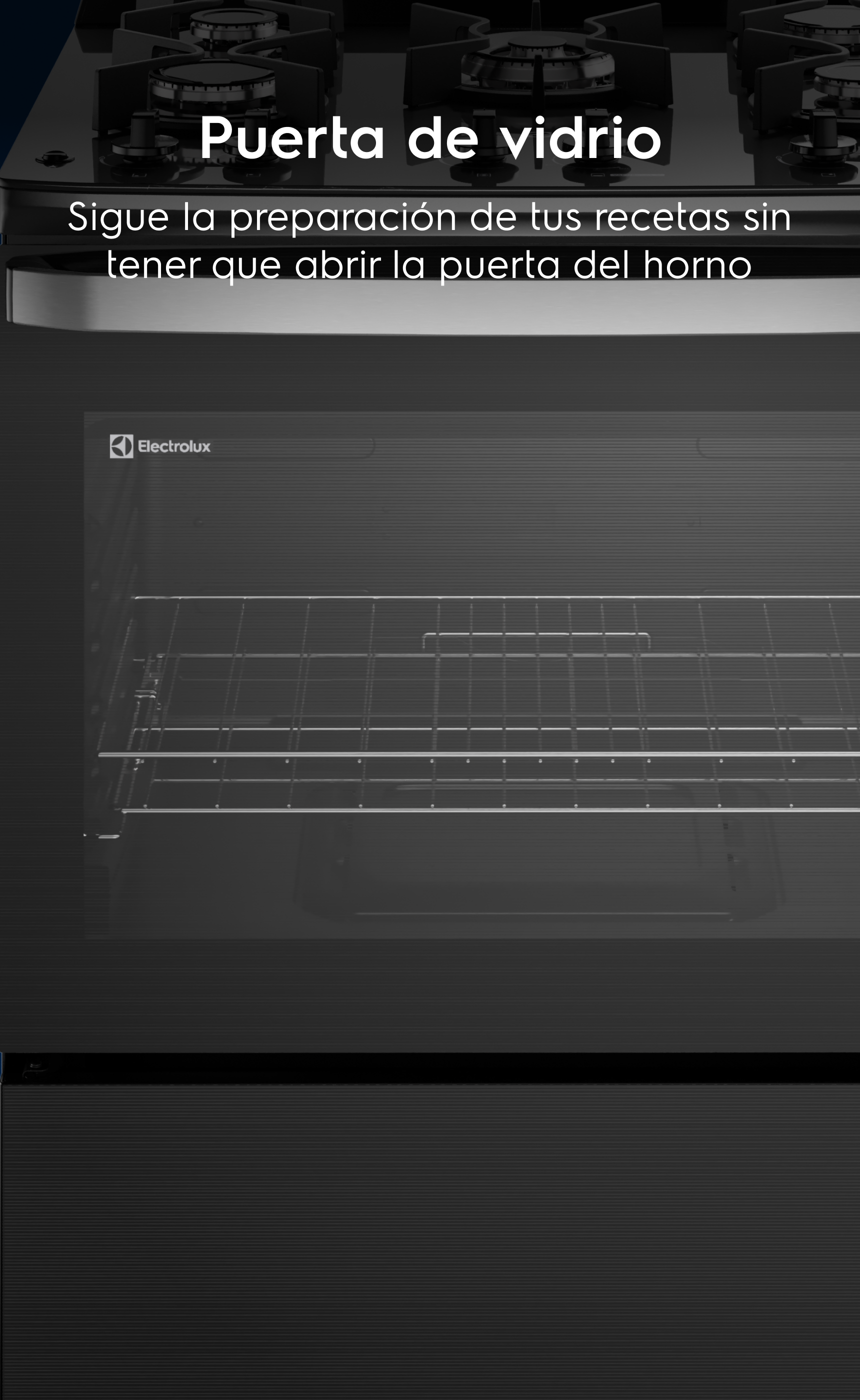 Lorem ipsum - Sigue la preparación de tus recetas sin tener que abrir la puerta del horno