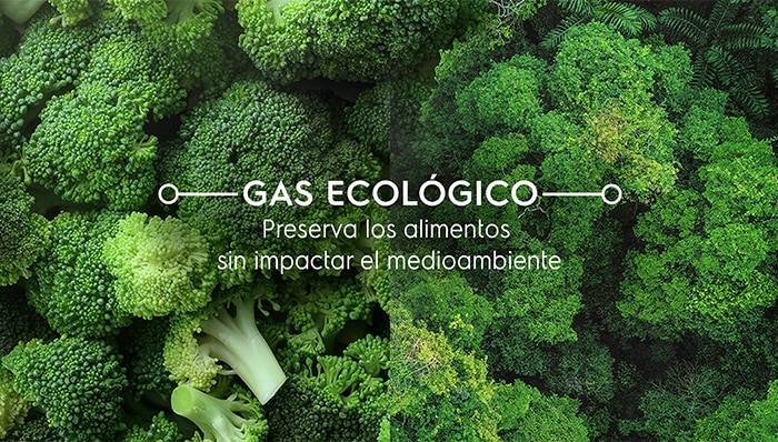 Electrolux